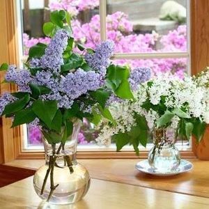 Meet your Posher, Carolyn